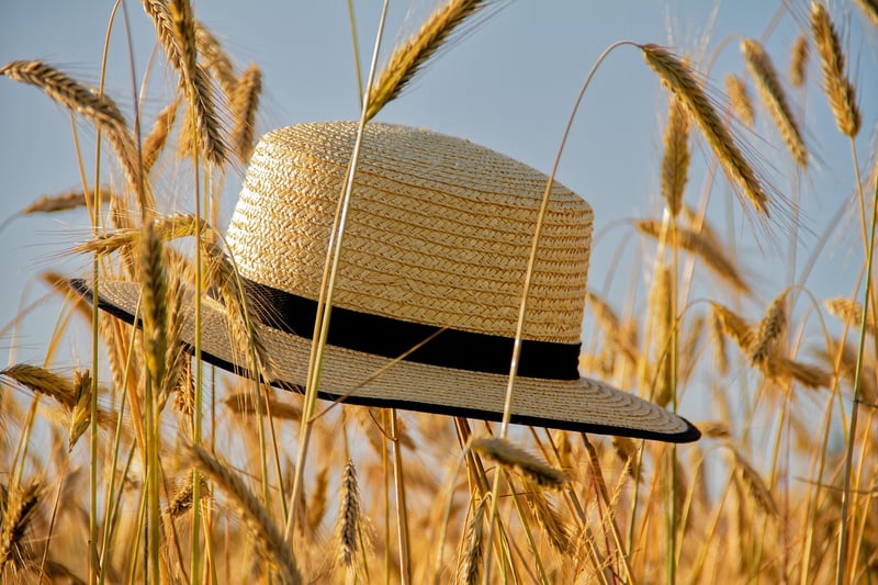 Sun Protection